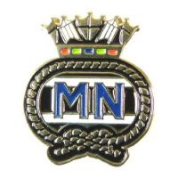 Lapel Pin