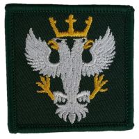 QATAR ARMY BADGE